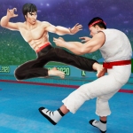 Tag Team Karate Fighting Game